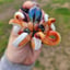 Small image 6