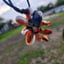 Small image 7
