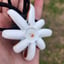 Small image 5