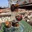 Small image 7