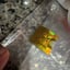 Small image 6