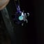 Small image 5