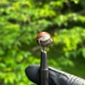 Small image 3