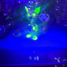 Small image 5