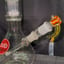 Small image 6