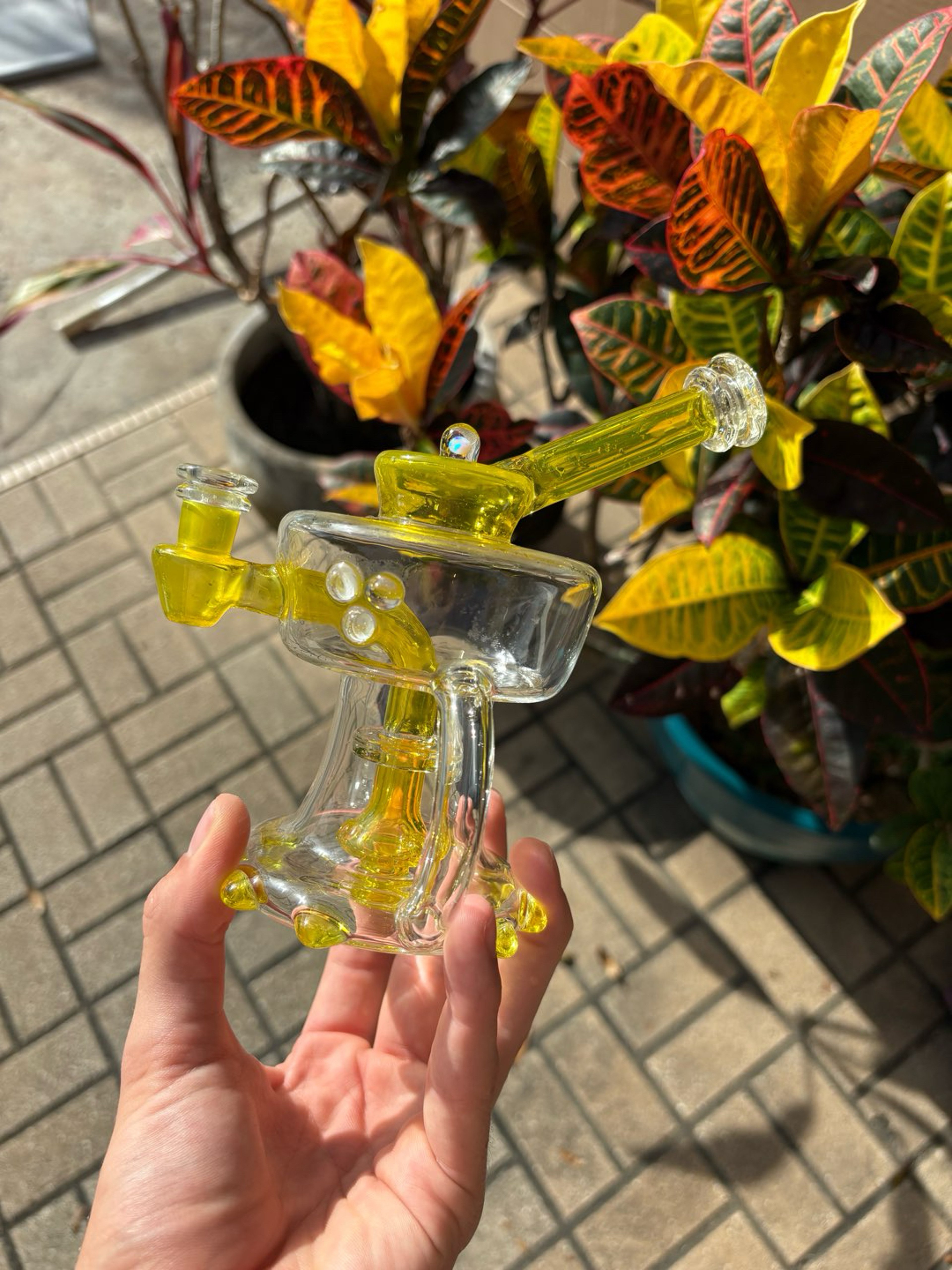 Preview pic of Mac savage rig terps