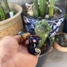 Small image 3