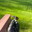 Small image 7