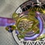 Small image 7