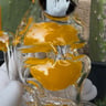 Small image 5
