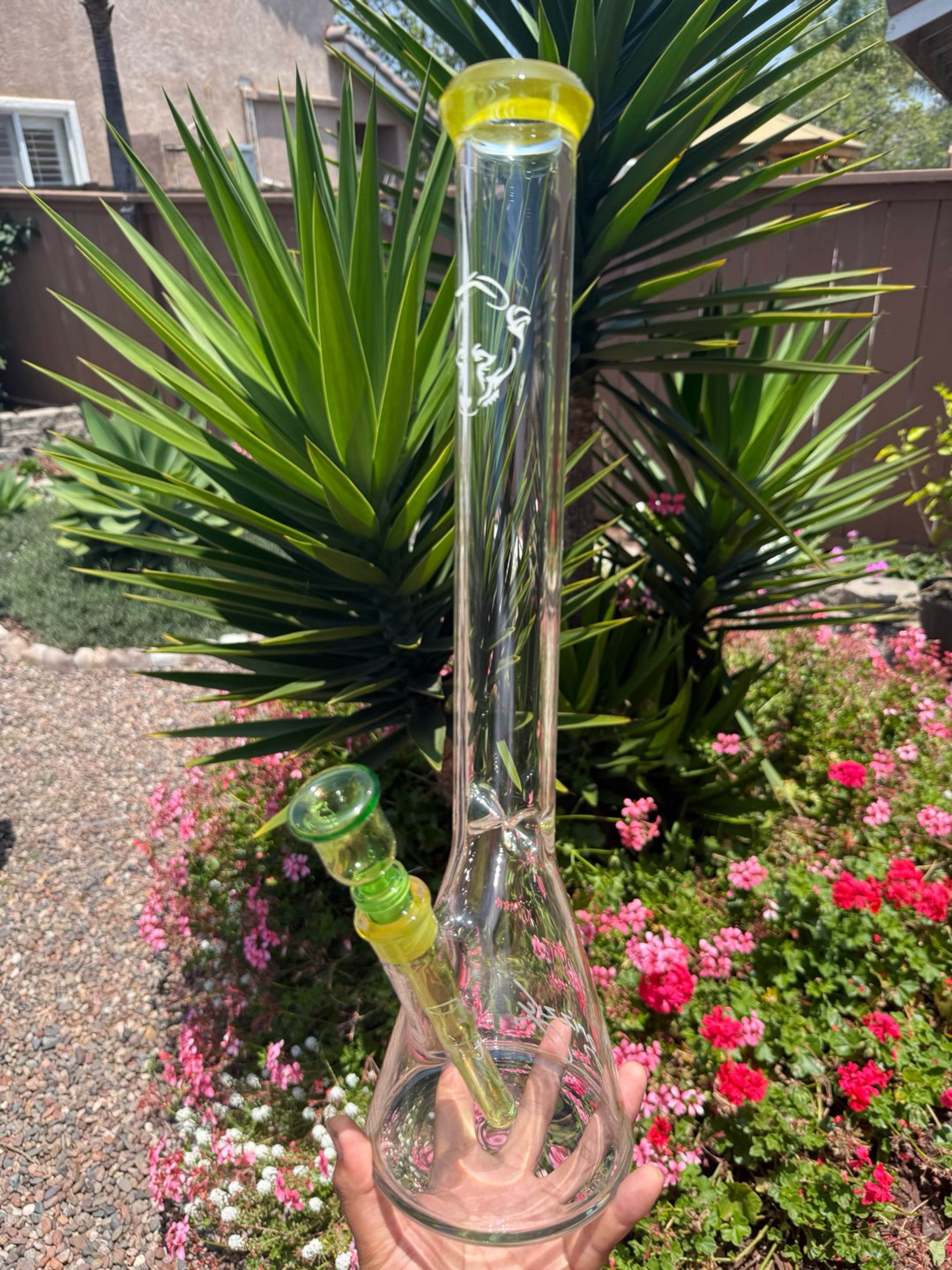 Preview pic of Grizzly Beaker (Lemon Drop)