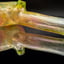 Small image 6