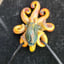 Small image 4