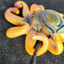 Small image 6