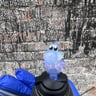 Small image 3