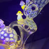 Small image 6