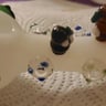 Small image 2