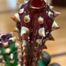 Small image 3