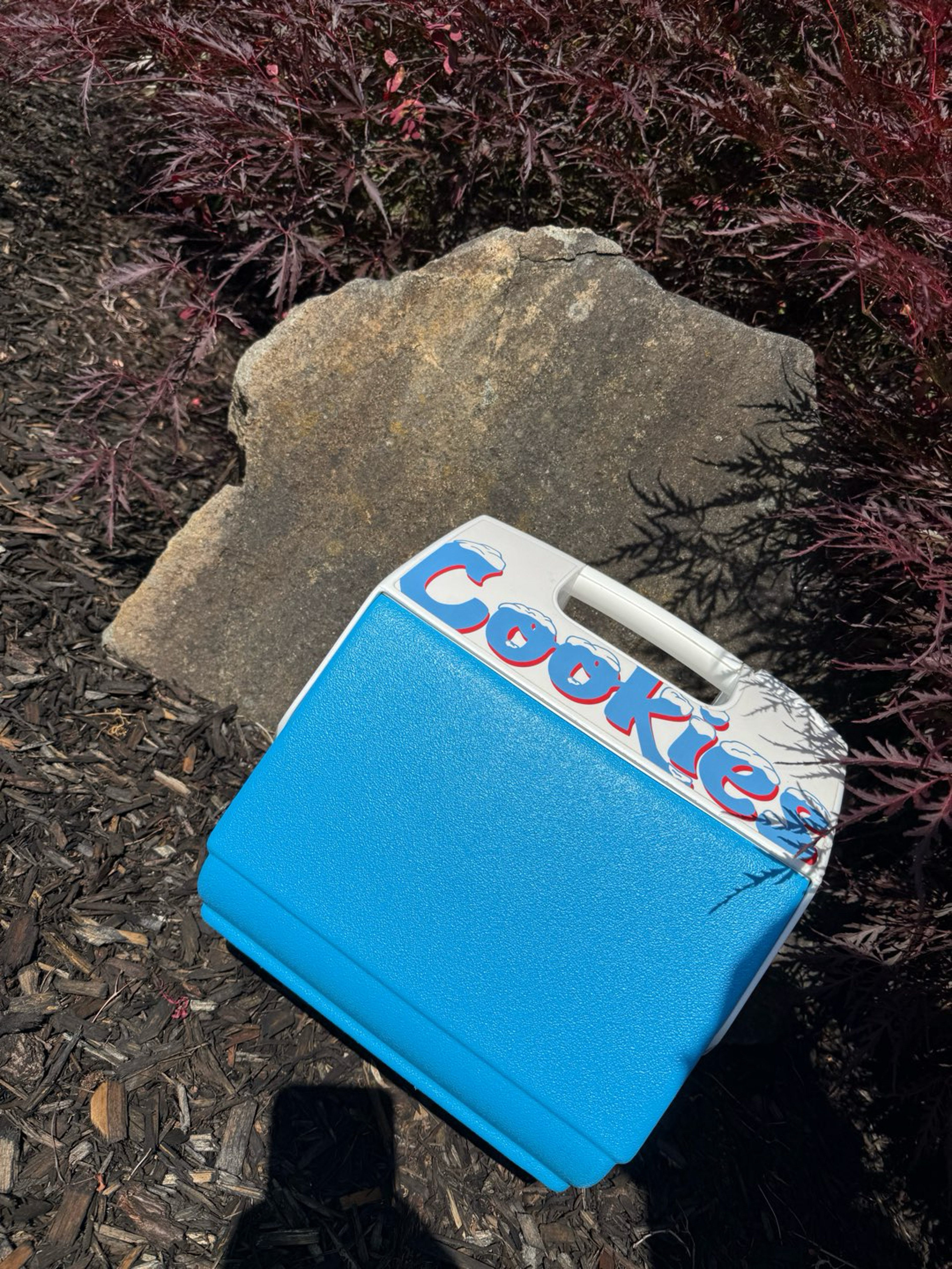 Preview pic of Igloo Playmate X Cookies Cooler