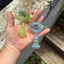 Small image 5