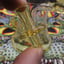 Small image 5