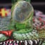 Small image 5