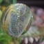 Small image 6