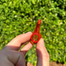 Small image 2