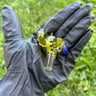 Small image 1