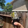 Small image 0