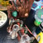 Small image 6