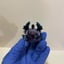Small image 7