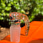 Small image 6