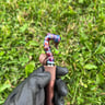 Small image 2