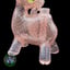 Small image 7