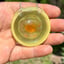 Small image 8
