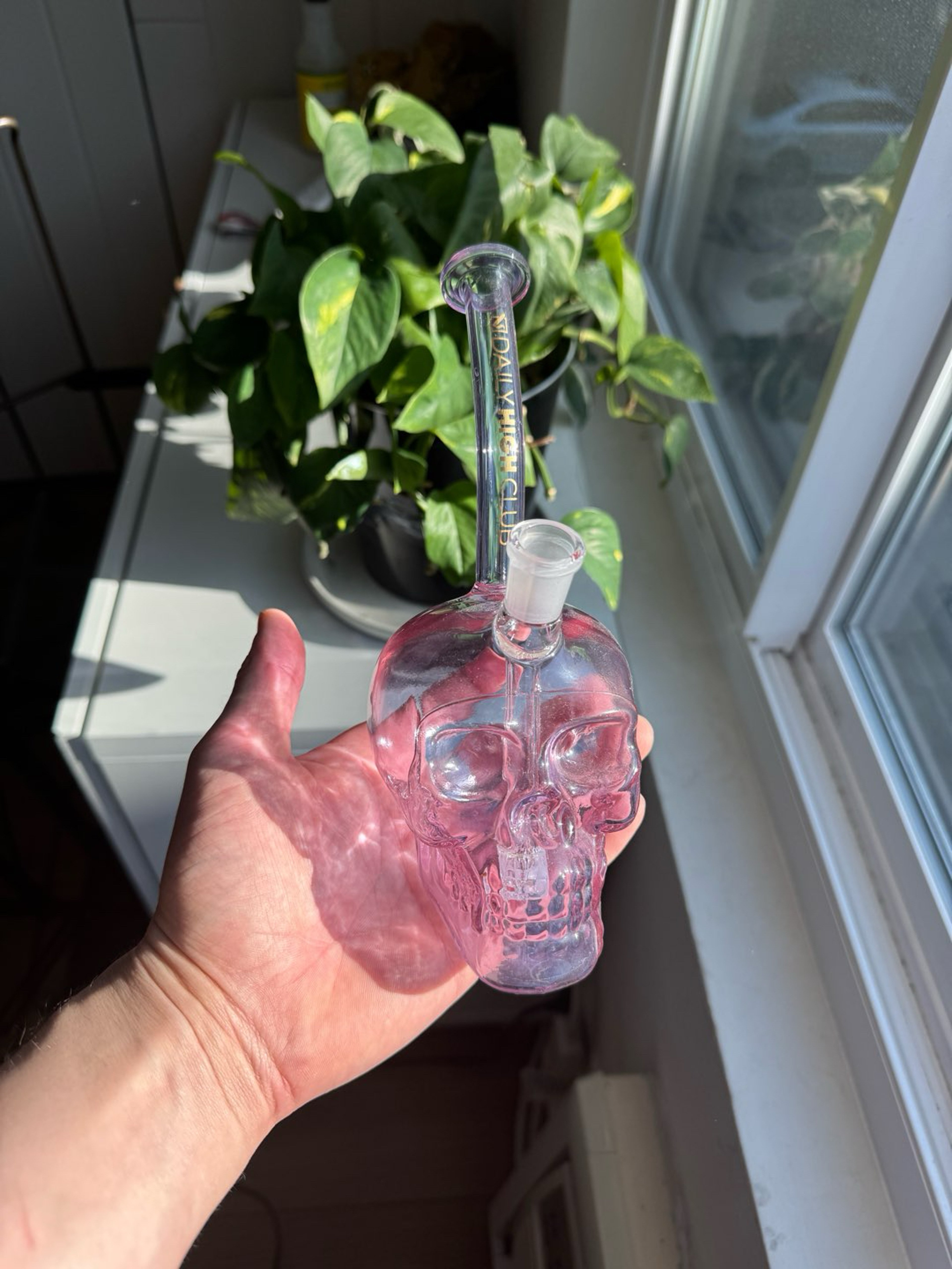 Preview pic of Purple Skull mini bong/ bubbler