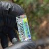 Small image 3