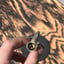 Small image 7