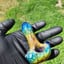 Small image 8