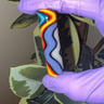 Small image 1