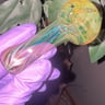 Small image 0