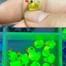 Small image 0