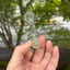 Small image 7