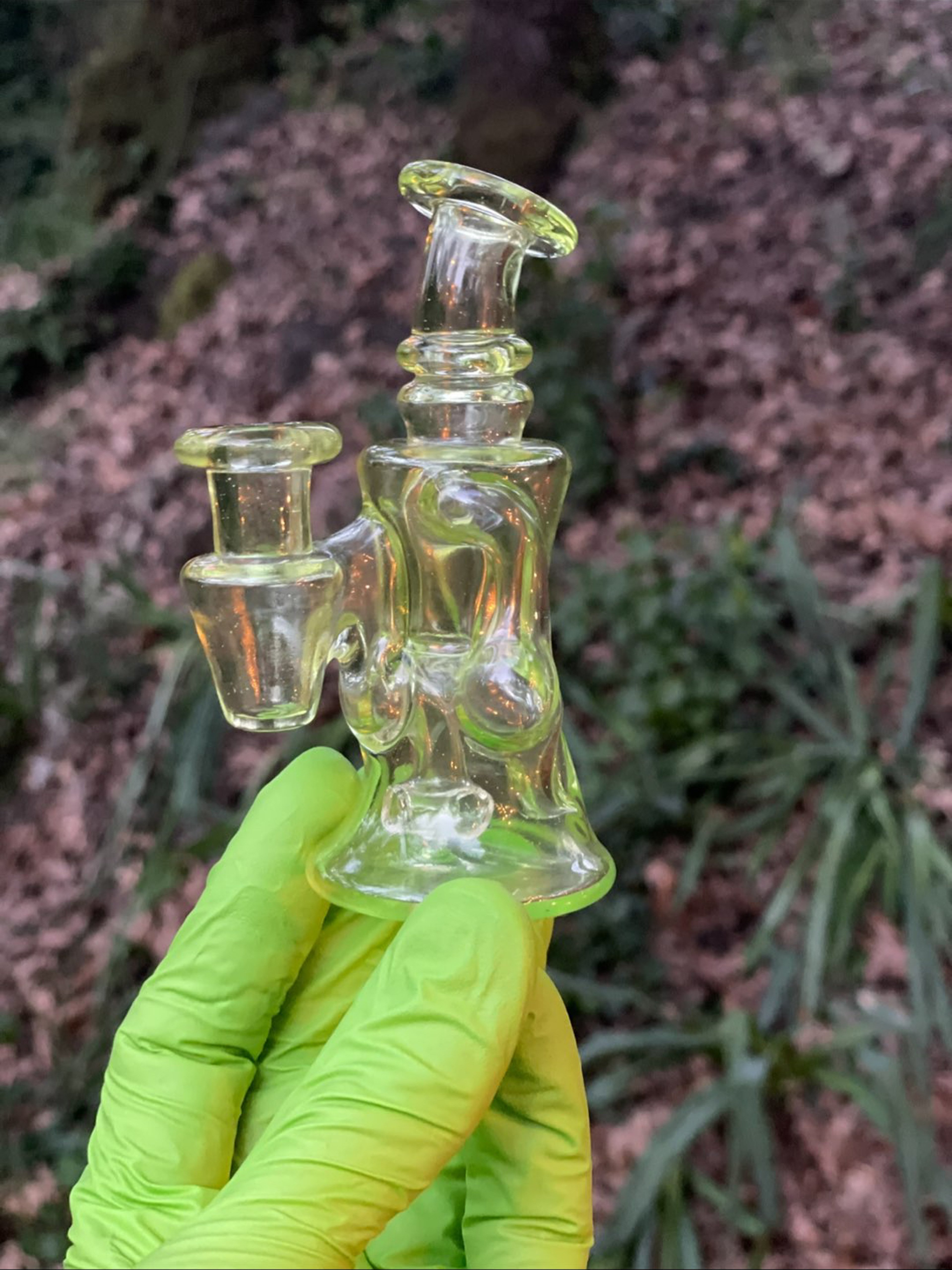 Mini dabberjaws image 0