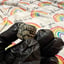 Small image 3