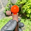 Small image 5