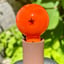 Small image 6