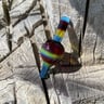 Small image 3