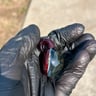 Small image 1
